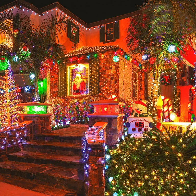Christmas Night 100 LED Green Wire String Light with connector - Multicolor