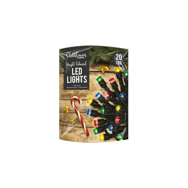 Christmas Snow Globe 20 Led String Lights B/o Multi Coloured