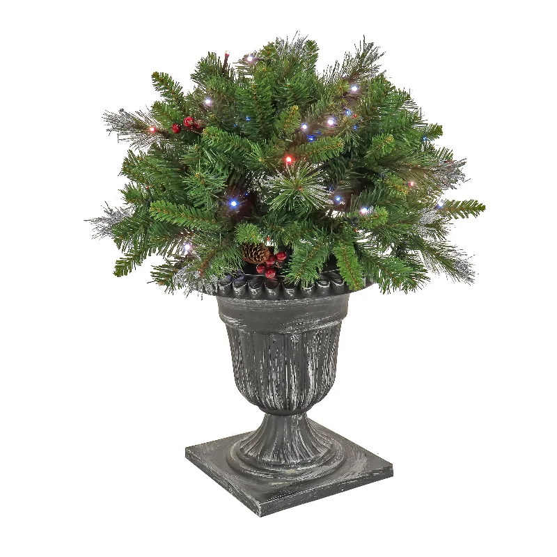 Christmas Gift Packing 24 in. Crestwood Spruce Porch Bush with Twinkly LED Lights