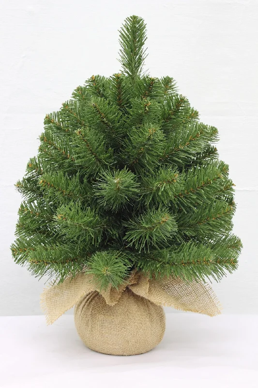 Christmas Cinnamon Rolls Christmas Tree <br> 1.5ft Alpine Spruce (46cm)