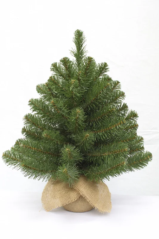 Christmas Family Fun Christmas Tree <br> 2ft Alpine Spruce (61cm)