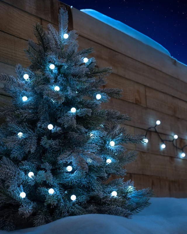 Christmas Magic Berry Multi-Function 50 LED Connectable Light String, Bright White