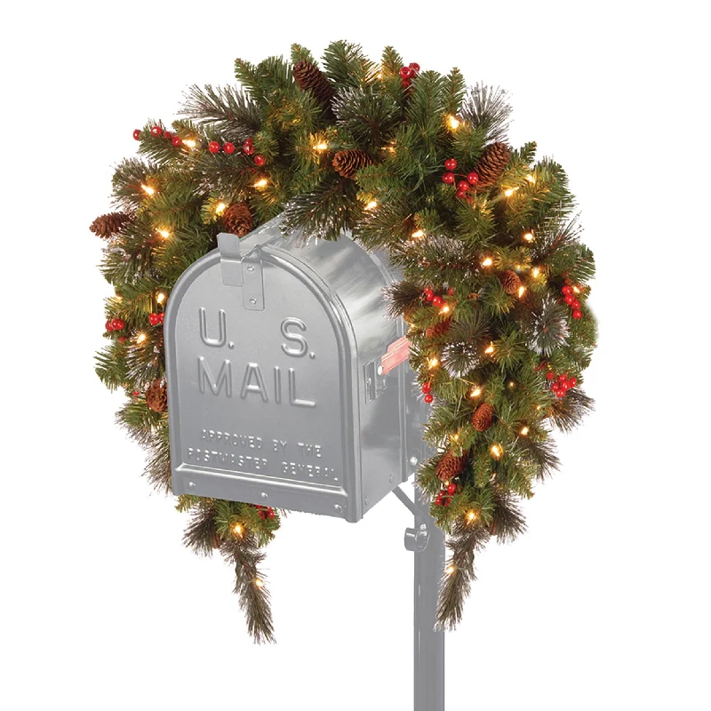 Christmas Stocking Fillers 36 in. Pre-Lit Crestwood Spruce Mailbox Swag with LED Lights Christmas Stocking Fillers 36 in. Pre-Lit Crestwood Spruce Mailbox Swag with LED Lights