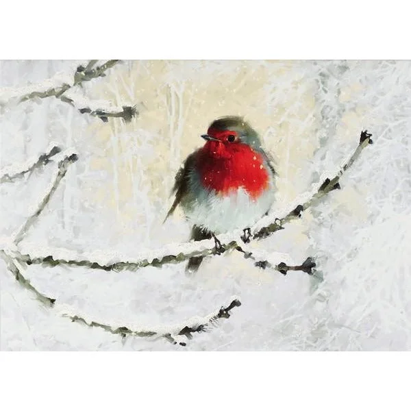 Christmas Family Fun English Robin Boxed Holiday Cards | Set of 20