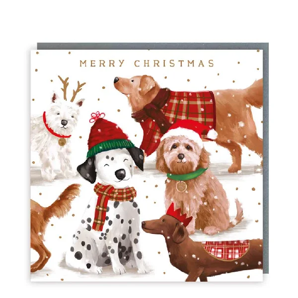 Christmas Advent Calendar Festive Dogs Holiday Card Pack | Set of 5