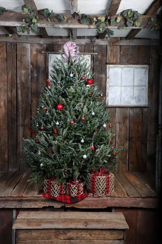 Christmas Dinner Recipes Fresh-Cut Premium-Grade Fraser Fir Christmas Tree