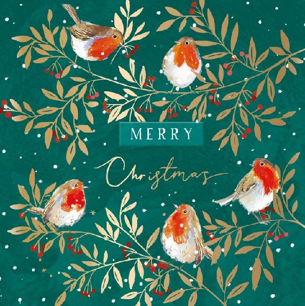 Christmas Home Decor Christmas Robins Christmas Cards Pack | Set of 10