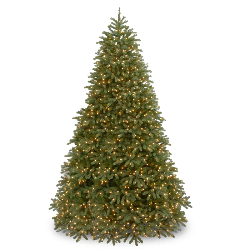 Christmas Midnight Mass 10 ft. Pre-Lit Jersey Fraser Fir Medium Tree with Dual Color LED Lights Christmas Midnight Mass 10 ft. Pre-Lit Jersey Fraser Fir Medium Tree with Dual Color LED Lights