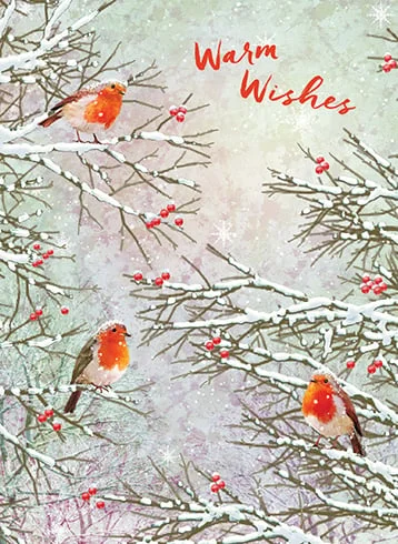 Christmas Church Service Robins Boxed Cards Set of 8