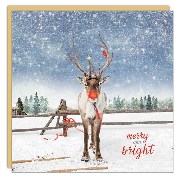 Christmas Wrapping Stationery - Christmas Card - Rudolph
