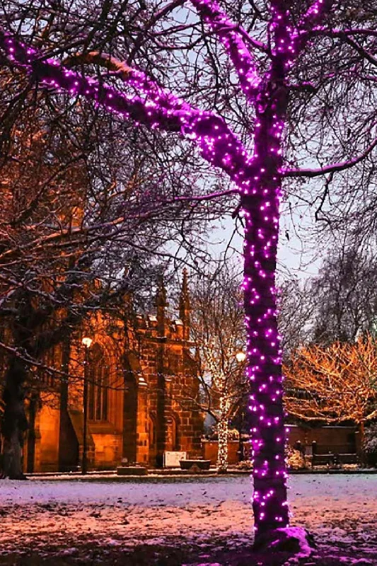 Christmas Magic Silver Copper Branch Tree Lights - Plug in