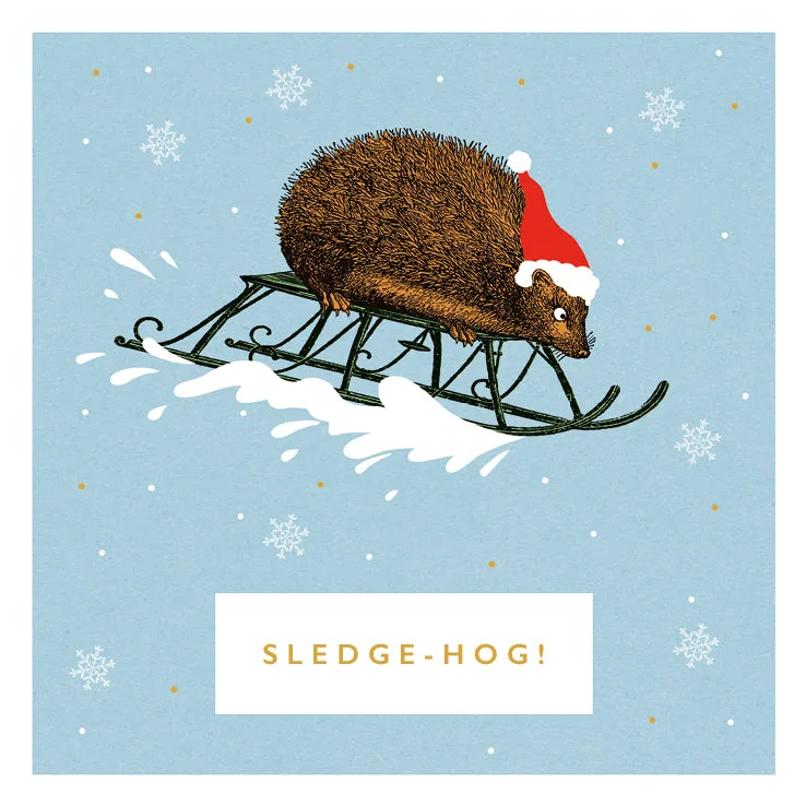 Christmas Santa Hat Sledge-Hog Holiday Card Pack | Set of 6
