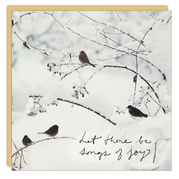 Christmas Mistletoe Stationery - Christmas Card - Songs Of Joy