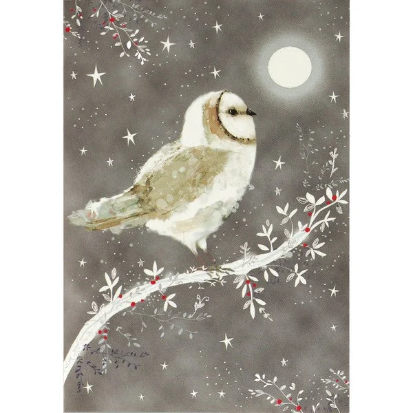 Christmas Cinnamon Rolls Starry Night Owl Holiday Boxed Cards