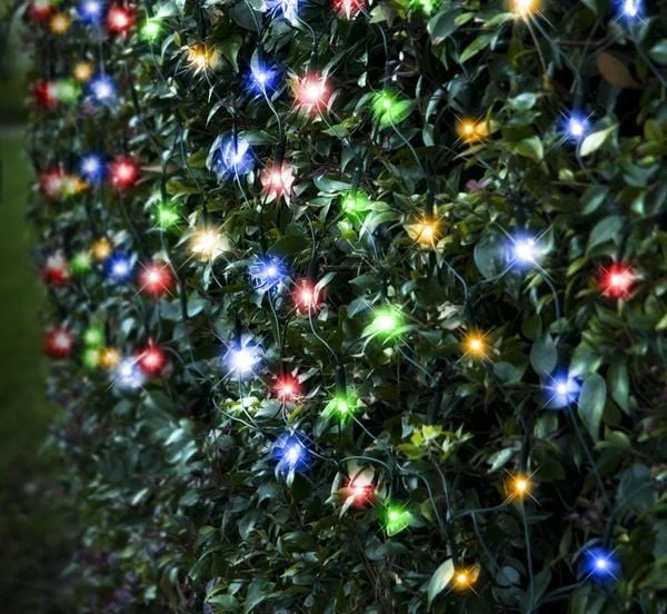 Christmas Caroling LED Multicoloured Net Light (4.8m)