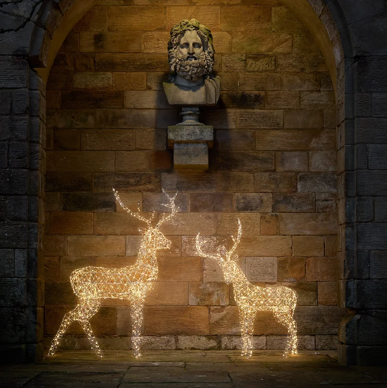 Christmas Sparkling Lights 1.5m Duchy Stag LED Light Up Reindeer Duo