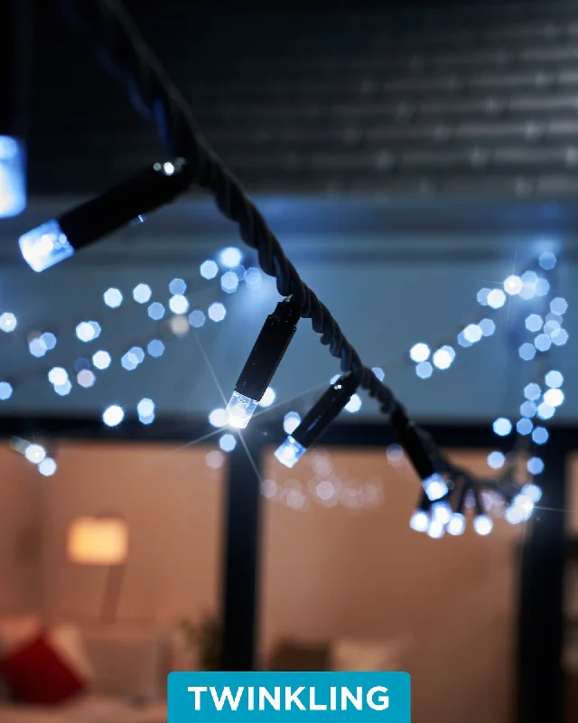 Christmas Family Time LINK PRO Twinkle LED String Lights, Black Cable, White