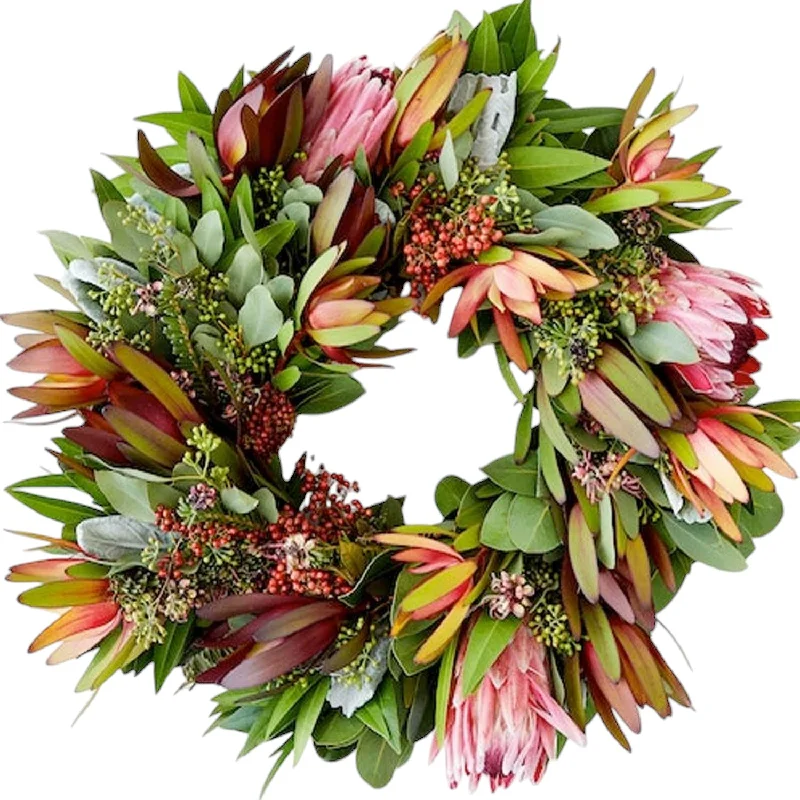 Christmas Caroling Protea Wreath 18"
