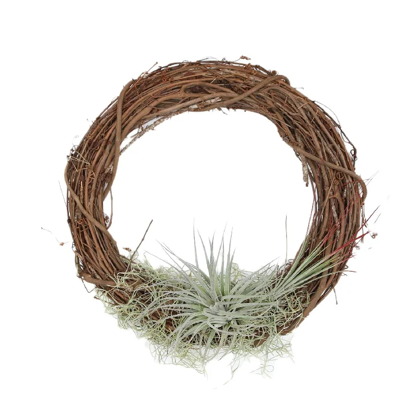 Christmas Snowfall Tillandsia Wreath 14"