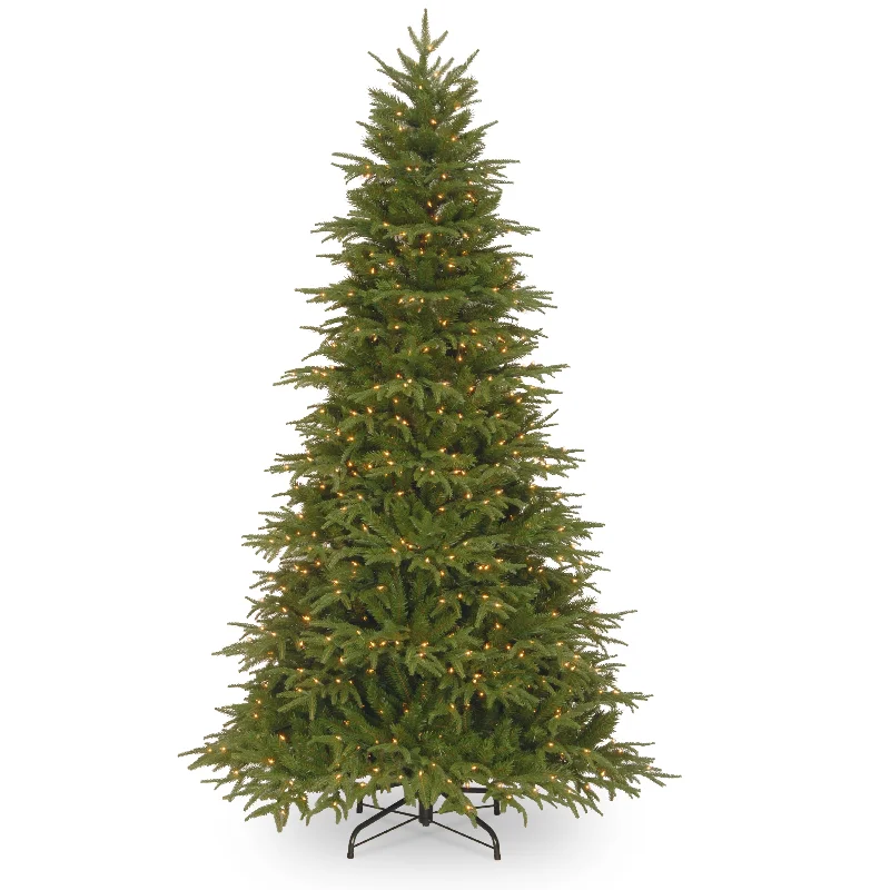Christmas Songs 6.5 ft. Pre-Lit Northern Fraser Fir Tree with Clear Lights