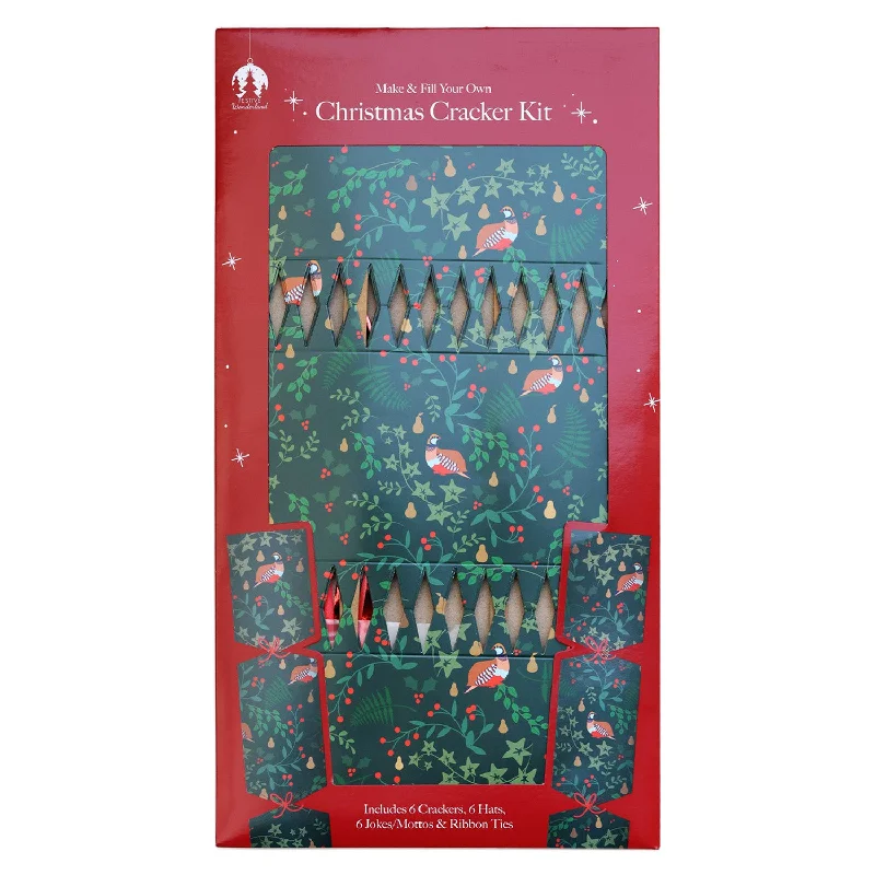 Festive Season 6PCS DIY Christmas Crackers Kit Green Holiday CRK0006-007G