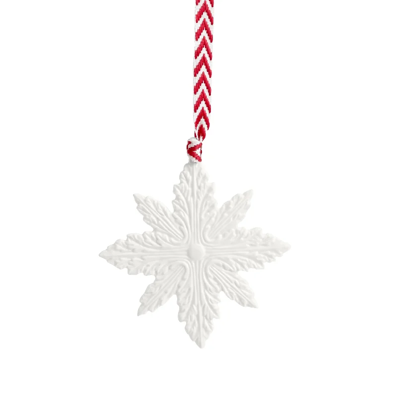 Christmas Lights Display Christmas Ornament Snowflake