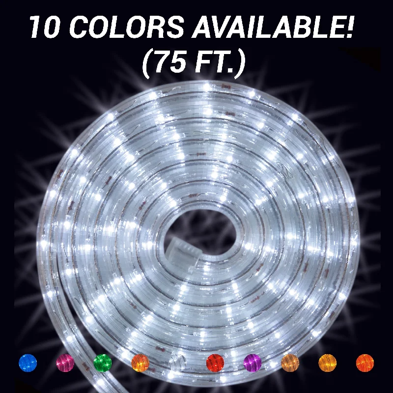 Christmas Family Fun LED Rope Light - 75ft Roll