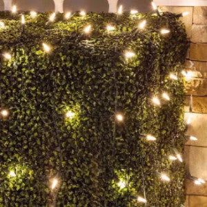 Christmas Traditions M5 LED Cool White Net Lights (3251-P)