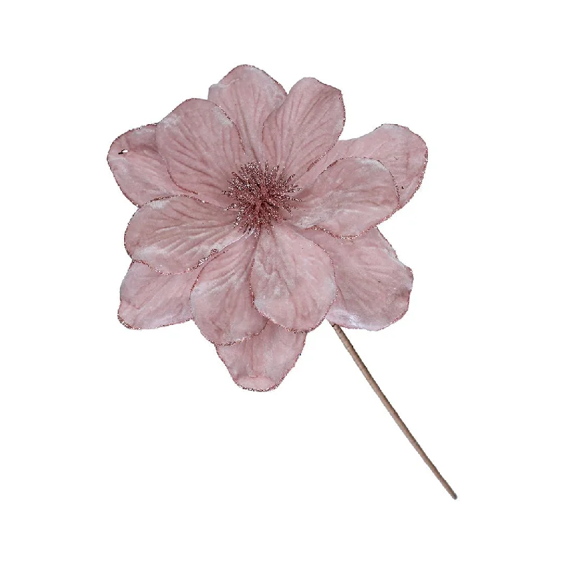 Blush Pink