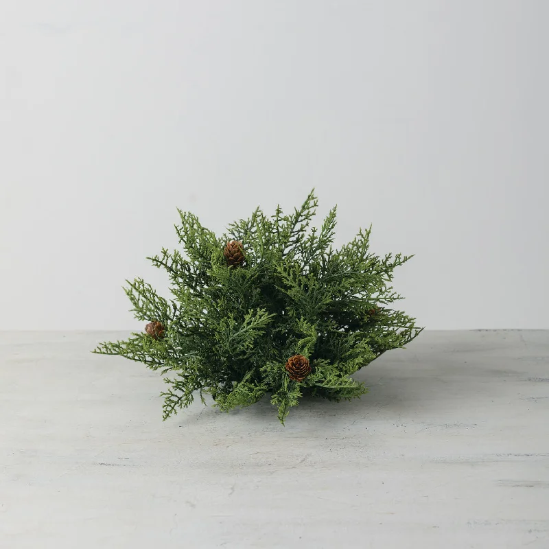 Christmas Party Cedar And Pine Cone Half Orb