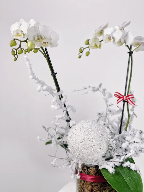 Christmas Pine Garland Snow White Orchid